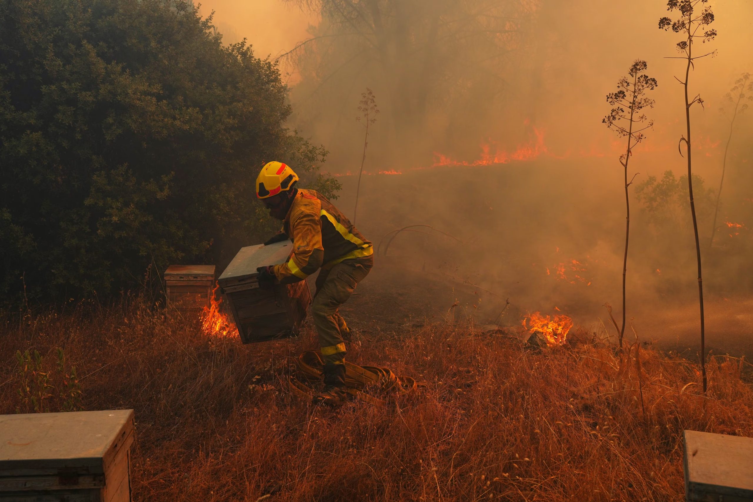 La Organización Meteorológica Mundial advierte que la combinación de El Niño, el Índico y el Atlántico puede aumentar el riesgo de crecidas e incendios forestales (AP Foto/Manu Fernandez, Archivo)