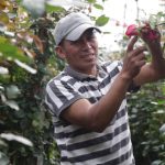 Daniel Noboa fortalece al sector productivo con USD 109 millones en financiamiento a través Crédito 7×7 de BanEcuador