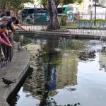 De la Sierra a la playa: Guayaquil se convierte en la parada estratégica para viajeros que buscan disfrutar del bolón y encebollado