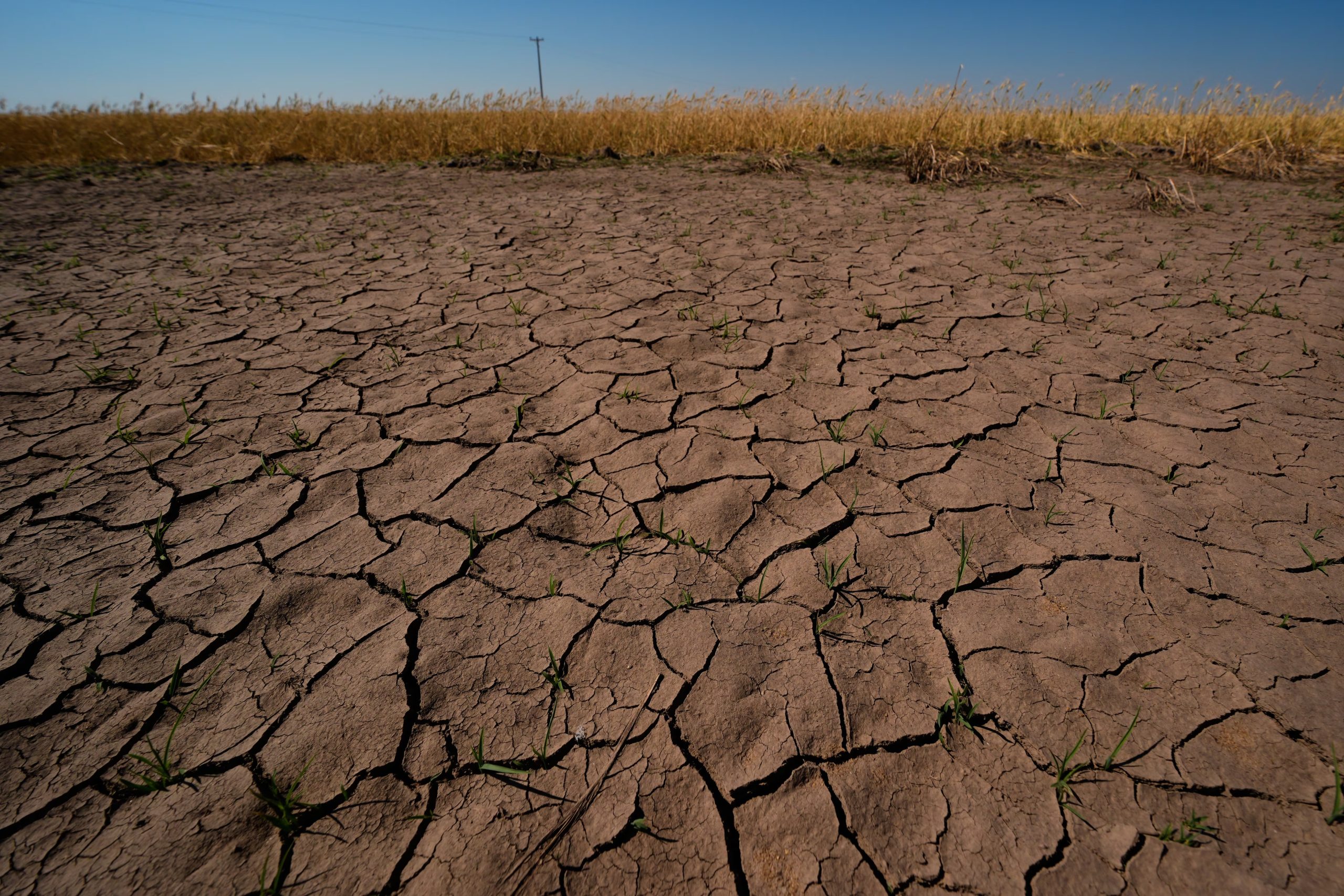 La falta de lluvias siguió ampliando las zonas afectadas por la escasez hídrica en distintas regiones del país (AP Foto/Charlie Riedel, archivo)