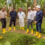 FMI evalúa al sector bananero ecuatoriano: impacto económico y retos de competitividad