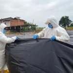 Agrocalidad realizó encarpado para evitar la dispersión del ‘Fusarium’ raza 4 en época invernal