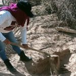 Guerrero lidera ranking de fosas clandestinas en México; 3,516 hallazgos en 18 años