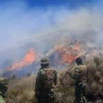 Incendio en el Parque Nacional Cotacachi-Cayapas sigue activo: afectación llega a unas 280 hectáreas