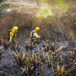 Bomberos de Quito controlan incendio en Rayocucho: 250 hectáreas afectadas