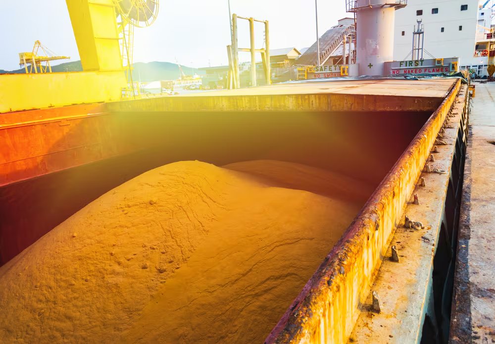 La producción agroalimentaria latinoamericana mantiene a la región como uno de los actores relevantes para la seguridad alimentaria global (Foto: Shutterstock)
