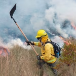 No existen incendios forestales activos al momento: llamas han consumido 10.713 hectáreas