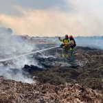 Menos incendios forestales, pero casi tres veces más superficie consumida en Guayaquil: el 98 % tiene relación con la actividad humana