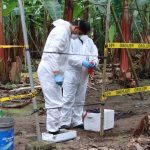 Agrocalidad intensifica acciones para prevenir y contener el Moko en Los Ríos