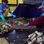 Quito convierte los desechos orgánicos de sus mercados en abono: ahora busca replicarlo en los hogares
