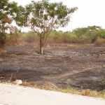 Guayaquil registró 20 incendios forestales en una semana