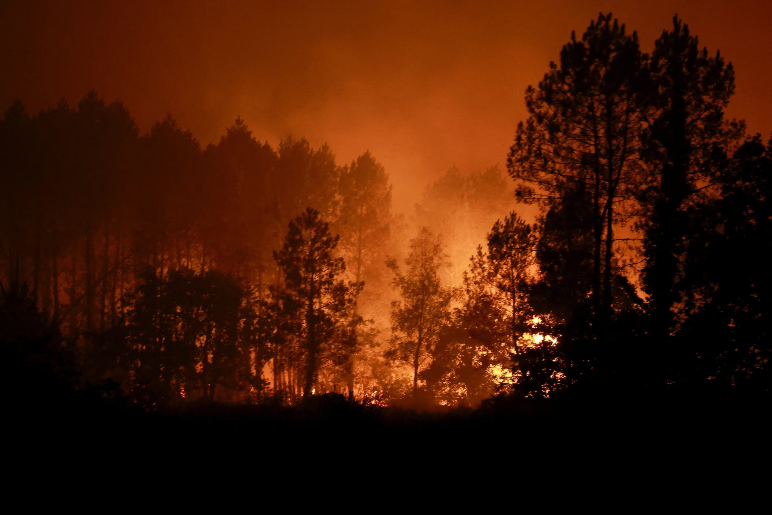 Las llamas envuelven los árboles mientras un incendio arde en Luglon, Francia. 14 de agosto de 2026. REUTERS/Stephanie Lecocq