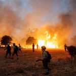 Europa arrasada: 434.000 hectáreas quemadas en incendios estivales