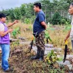 Ecuador fortalece la cadena de balsa para proteger su acceso  a mercados internacionales