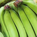 El banano ecuatoriano conquista China: el impacto de los nuevos acuerdos y rutas comerciales