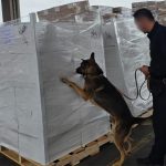México intercepta más de 1.3 toneladas de metanfetamina y fentanilo en Tijuana antes de llegar a EE.UU.