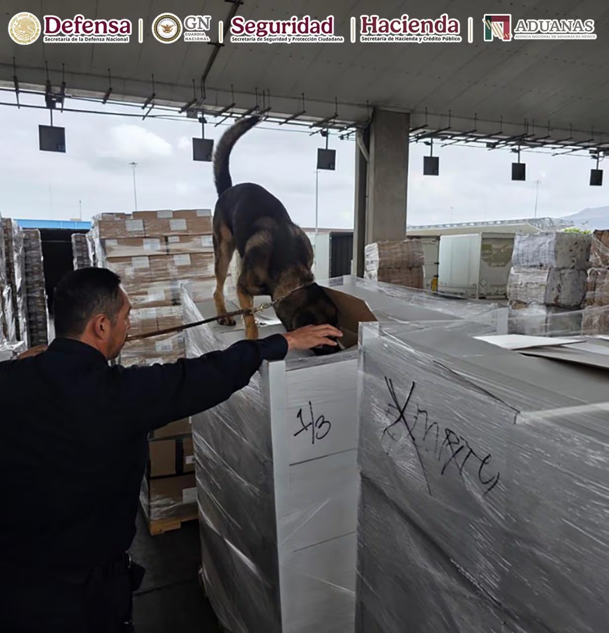 Decomiso en la Aduana de Tijuana. Crédito: Gabinete de Seguridad