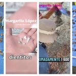 El macabro hallazgo en Zacapu: 1.600 dientes de leche en fosas mexicanas