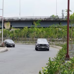 Samborondón ampliará las zonas arborizadas: 300 árboles llegarán a la avenida y luego intervendrán los viales 5 y 8