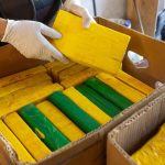 Golpe al narcotráfico en Mendoza: incautan 34 kilos de cocaína y detienen a tres personas