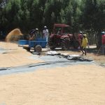 Chad: al menos 12 muertos por enfrentamientos entre comunidades en Salamat