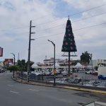 El árbol gigante de Navidad del Policentro está a punto de completarse a dos meses de las fiestas: ‘Ya la tenemos a la vuelta de la esquina’