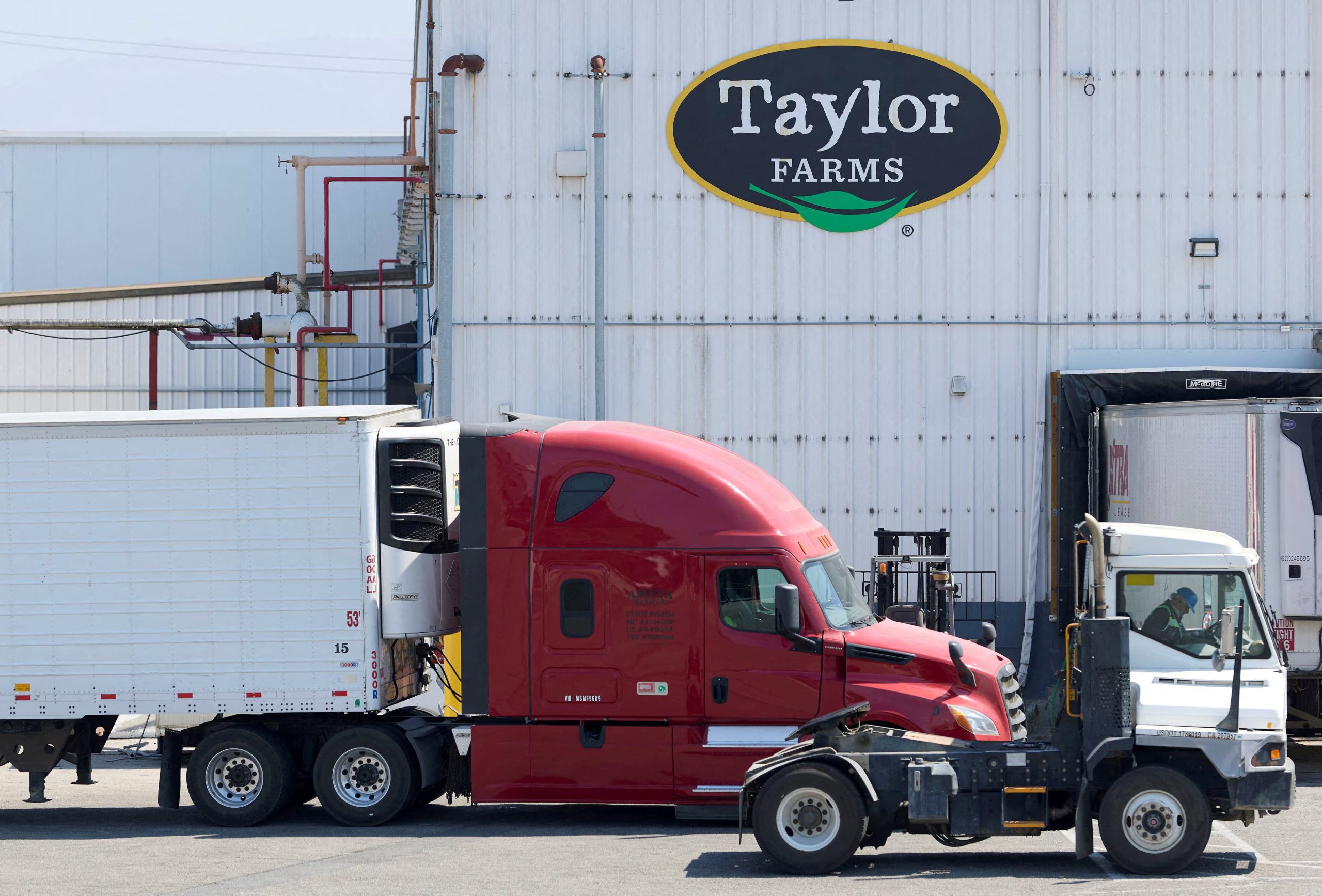En julio se descartó la existencia del párasito en Taylor Farms. REUTERS/Fred Greaves/File Photo
