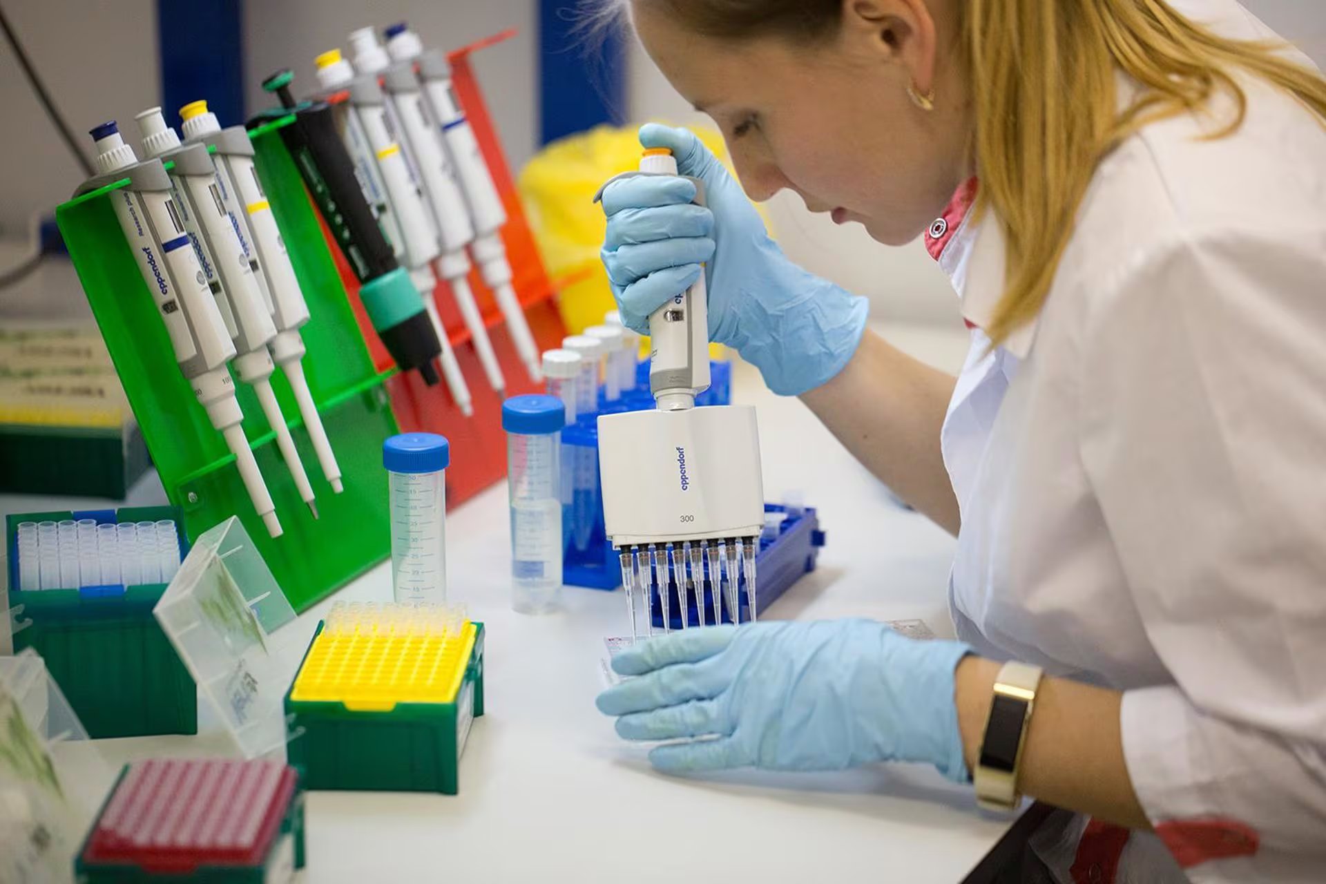 La neumonía es una infección respiratoria aguda causada principalmente por virus o bacterias, y se transmite generalmente por contacto con personas infectadas o a través de gotitas respiratorias (EP)