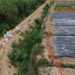 Agrocalidad refuerza cerco epidemiológico en El Quemado para contener el Fusarium Raza 4