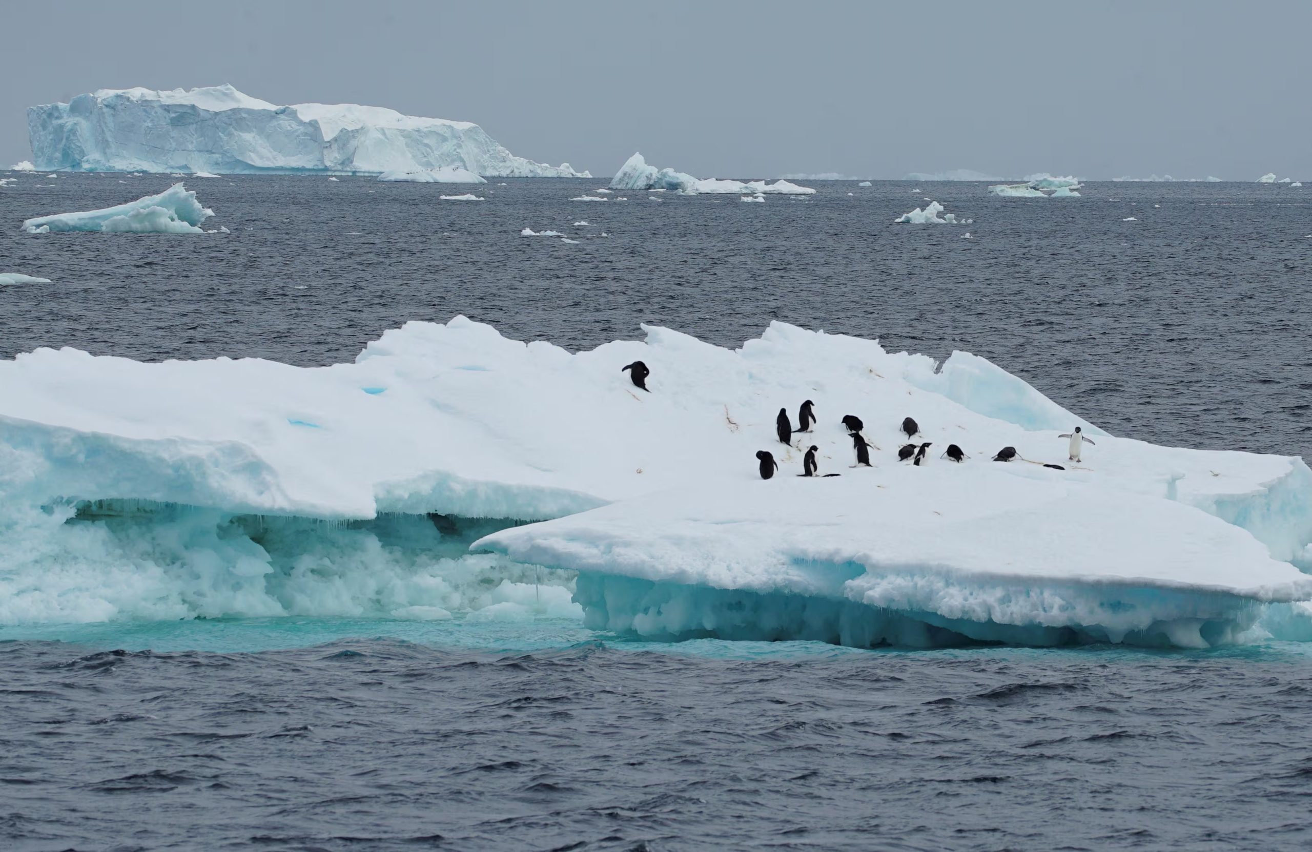 La cobertura de hielo en la bahía de Breid cayó del 97 % al 25 % en menos de dos semanas durante el mes de julio. (REUTERS/Natalie Thomas/File Photo)