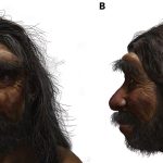 Cráneo oculto 80 años revela nueva especie humana: el Hombre Dragón