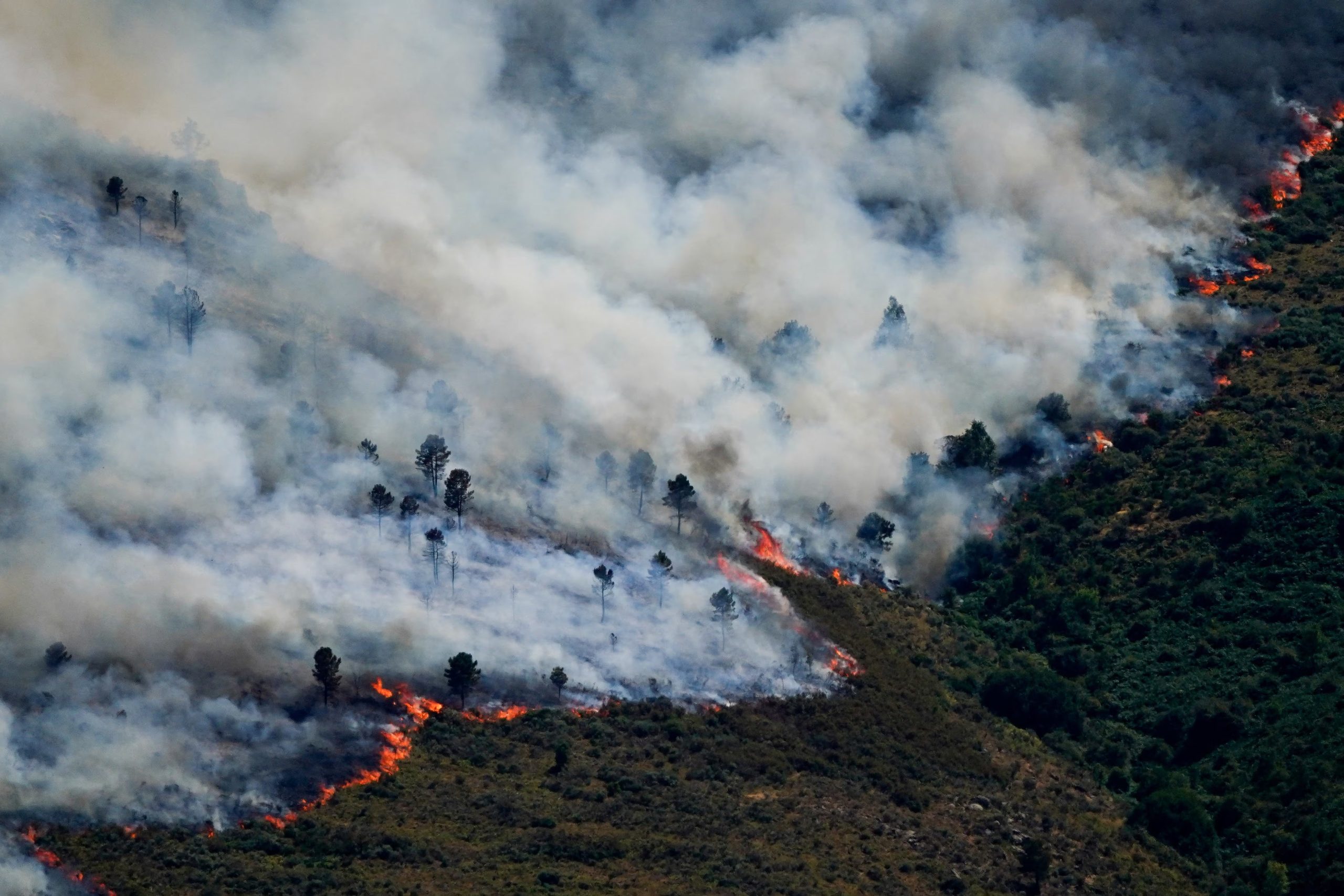 Vista de un incendio forestal que se extiende por la sierra de Burgohondo, en Ávila, España, el 23 de julio de 2026. (REUTERS/Ana Beltran)