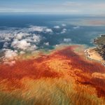 ¿Cuánto durará El Niño? El océano profundo tiene la respuesta