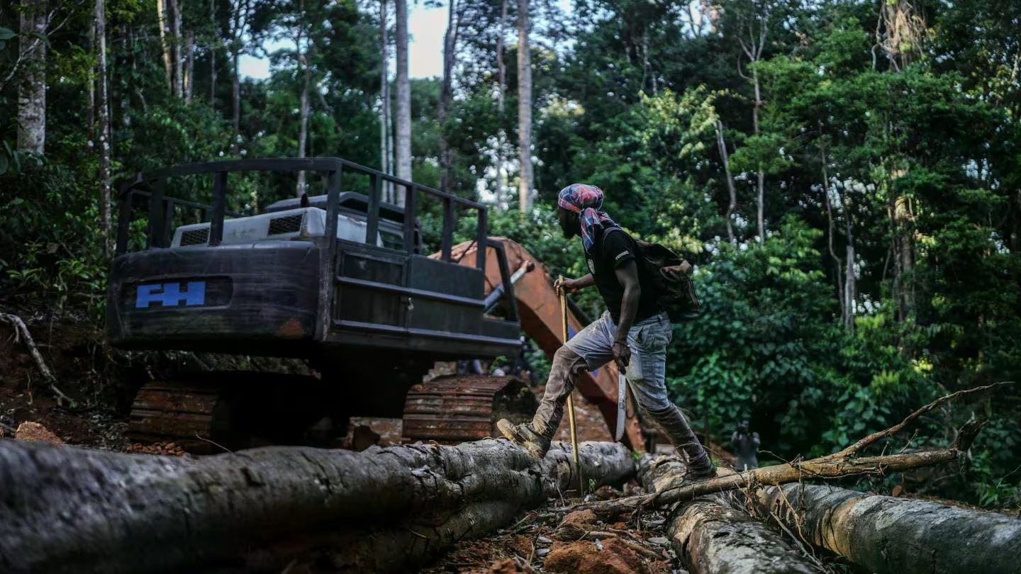 Los saamaka localizaron campamentos y equipos presuntamente vinculados con actividades madereras en su territorio (AP)