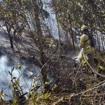 Ocho incendios forestales se mantienen activos en Chimborazo, Tungurahua y Loja este domingo, 18 de octubre