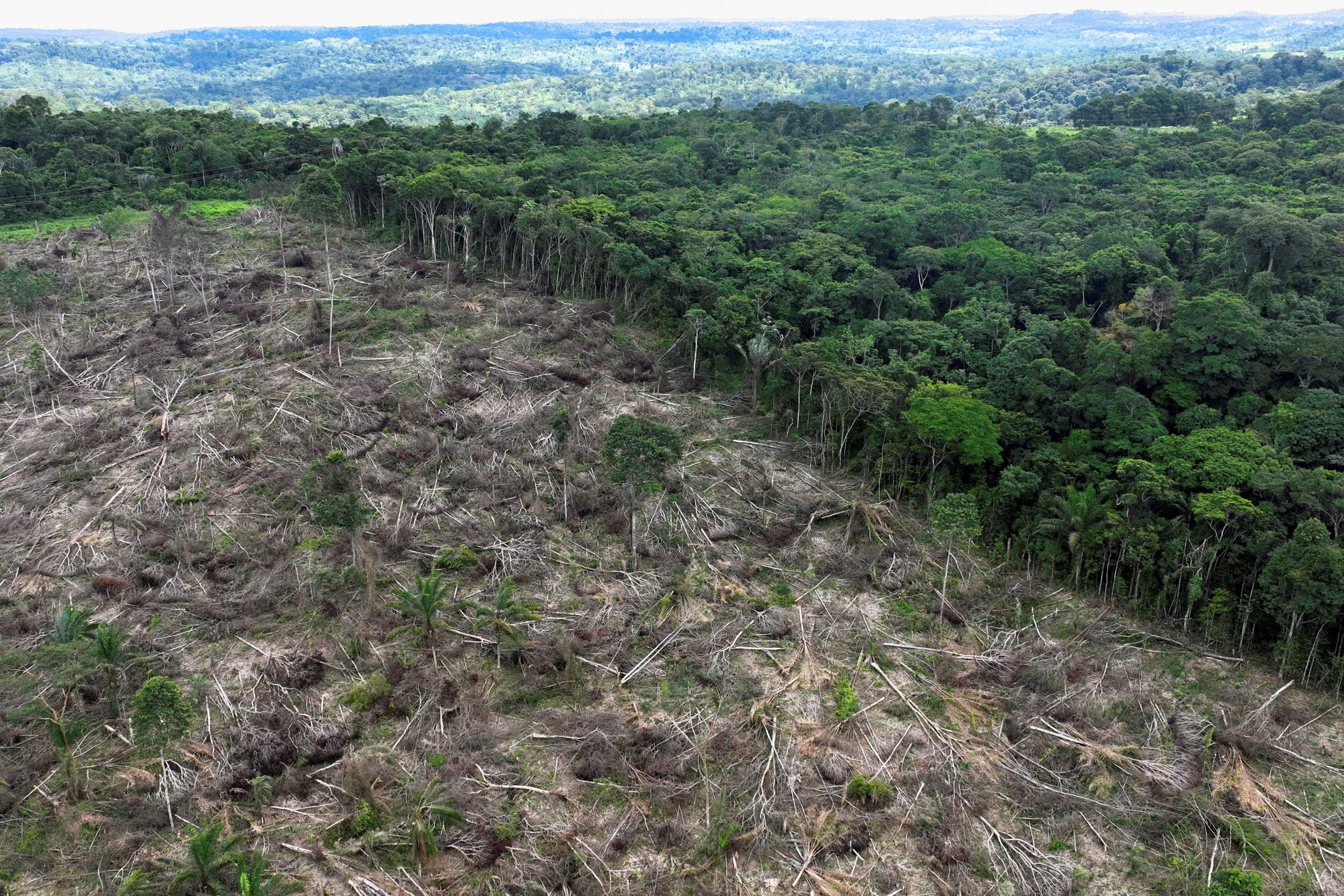 Vista aérea de un área deforestada en Brasil. (Ueslei Marcelino/Reuters)