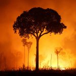 ONU advierte: consecuencias devastadoras con calentamiento de 2,6°C