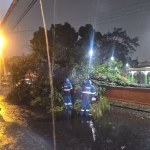 Calles anegadas y árboles caídos: los estragos de la lluvia que se prolongó hasta la madrugada de este domingo en Guayaquil