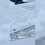 Avalancha en centro de esquí Portillo: al menos 4 muertos en Chile