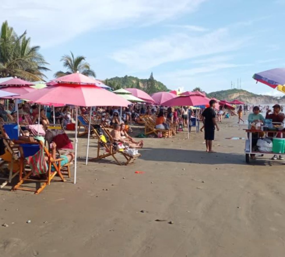 699614489b442.r_d.520-293-8000