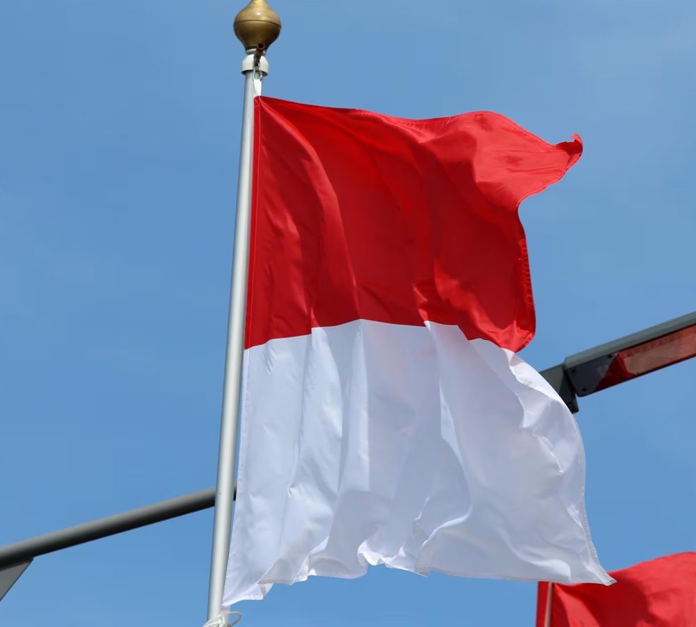 Al-menos-14-muertos-y-mas-de-80-heridos-en-un-choq