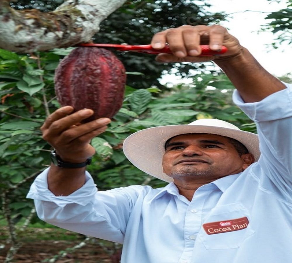 CACAO