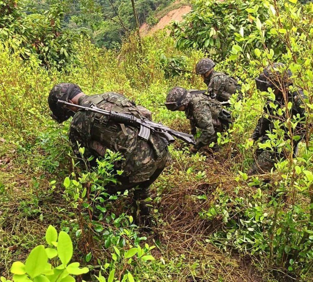 El-ELN-libera-a-siete-personas-secuestradas-en-el