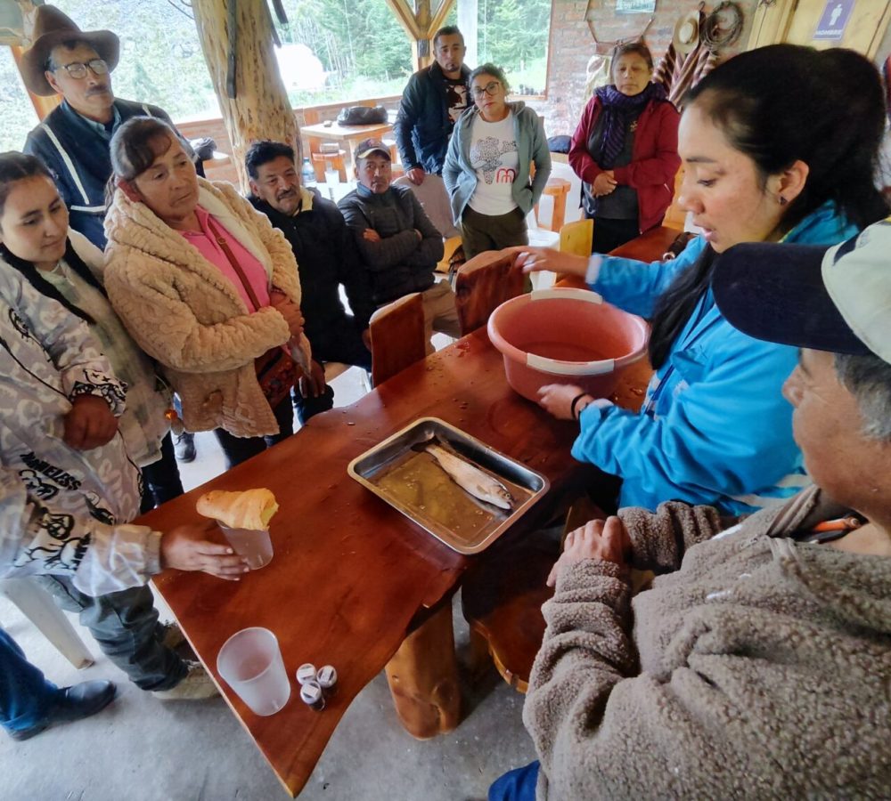 IMG_20260226_1306361-1536x1152-1