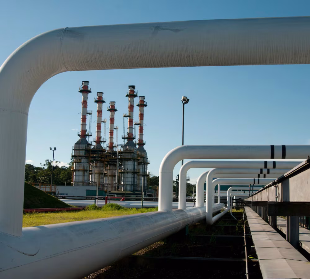 JDZSNN4NSFCNNJZZAMXQVPPMJA