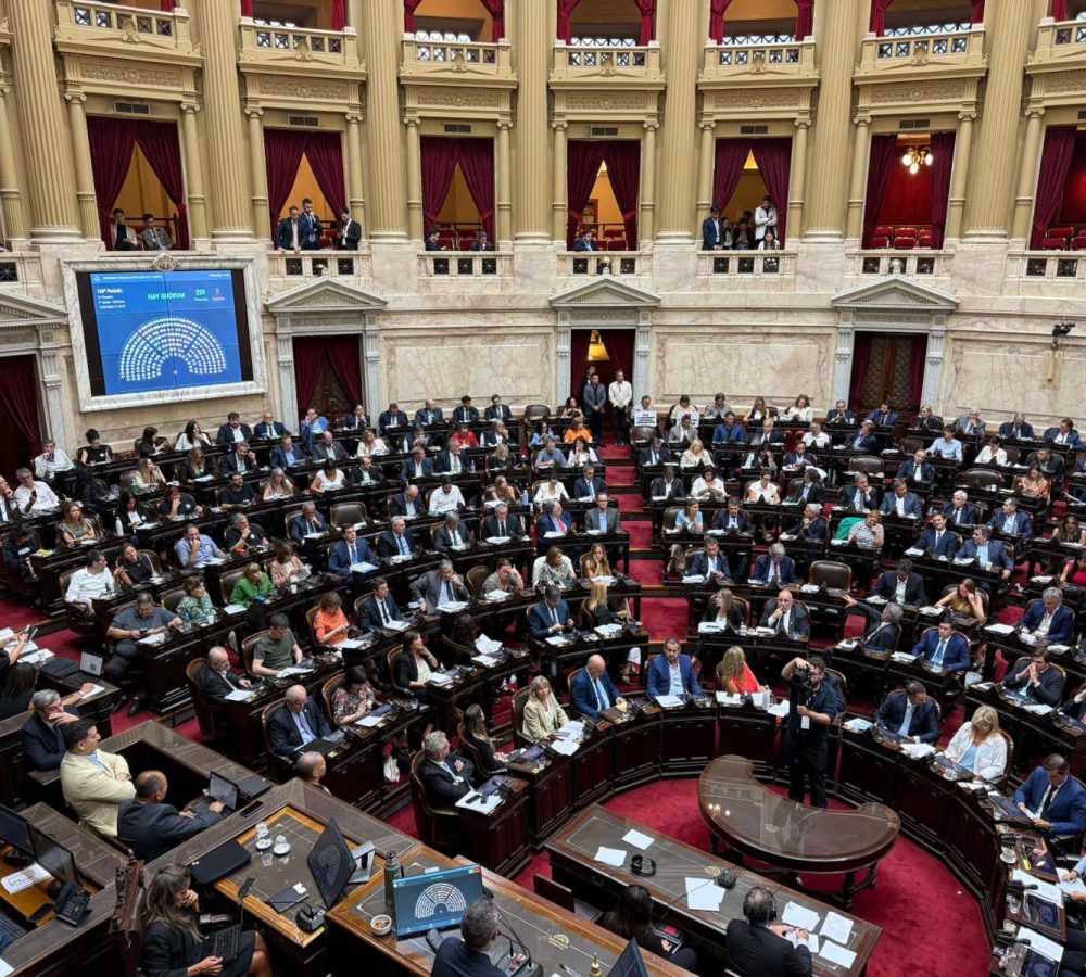 La-reaccion-del-Gobierno-tras-la-media-sancion-de