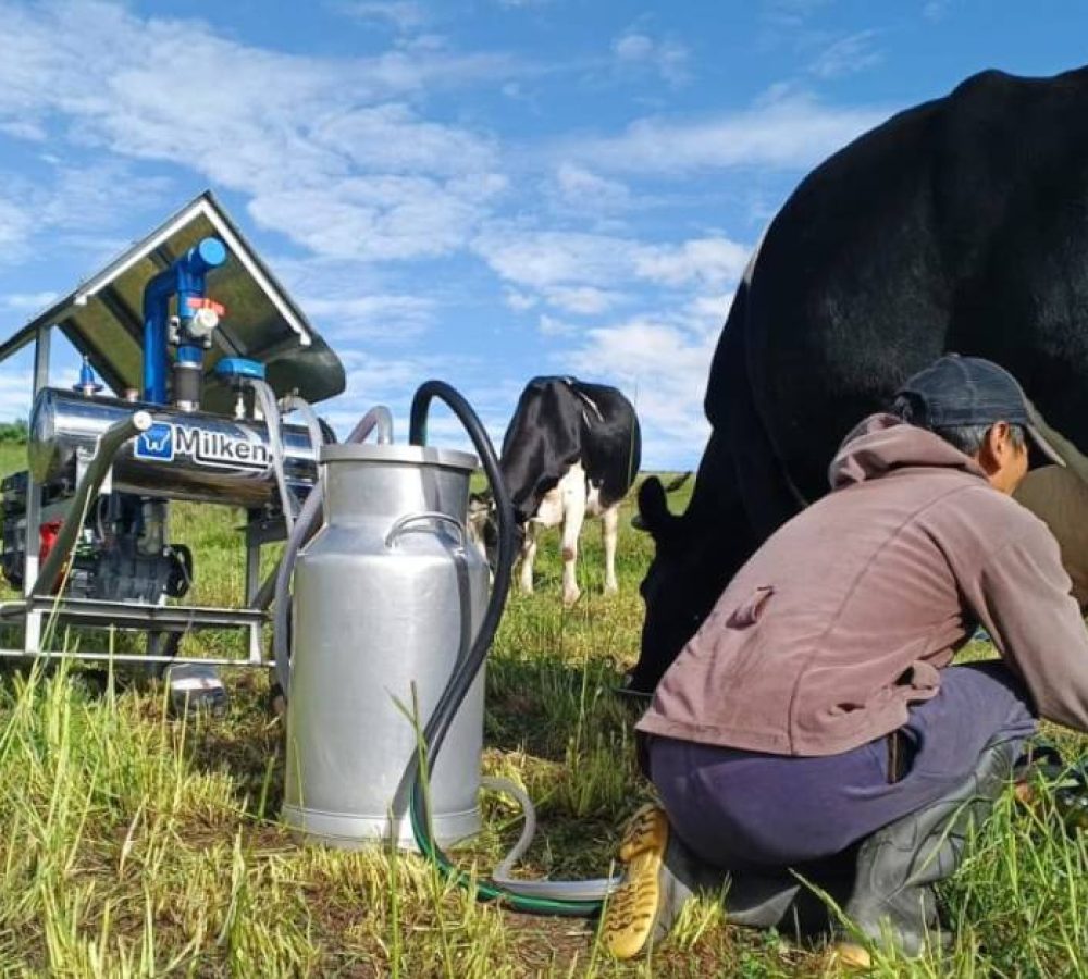 MAGP-Agricultura-Familiar-Campesina-1