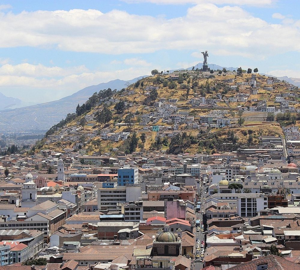 WhatsApp-Image-2026-02-10-at-14.06.44