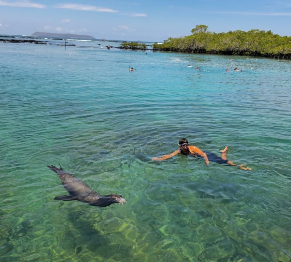 WhatsApp-Image-2026-04-06-at-10.47.51-1