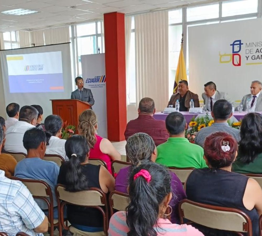 WhatsApp-Image-2026-04-17-at-4.47.33-PM